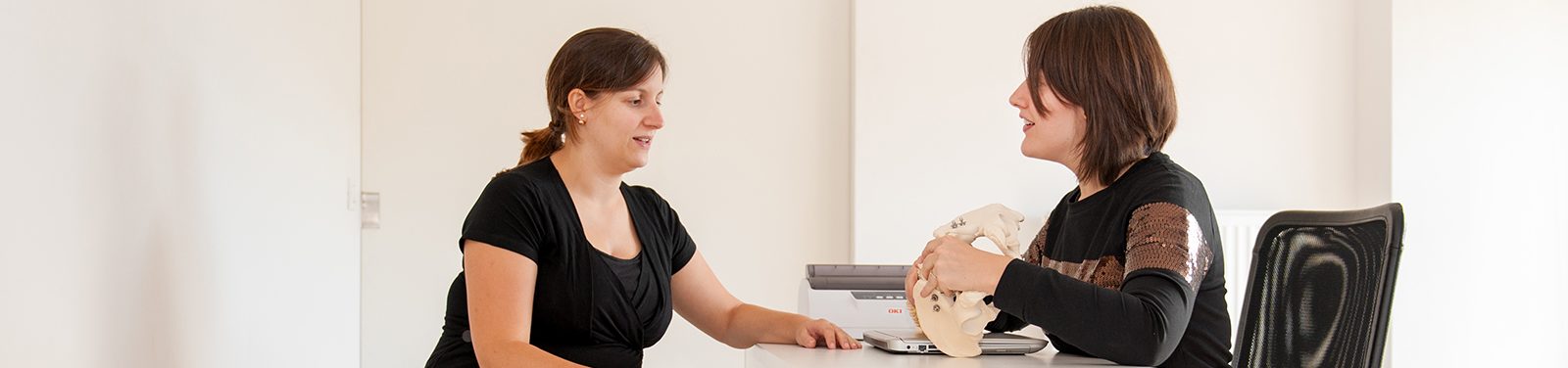 Best WordPress Theme based on Material Design - 